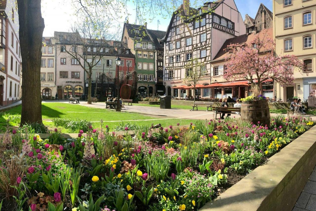 Grand 3 Pieces Stationnement Gratuit Dans La Rue Strasbourg Exterior photo